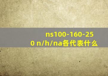 ns100-160-250 n/h/na各代表什么